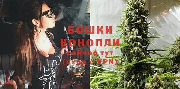 мдпв Горно-Алтайск