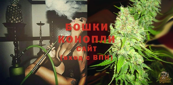 мдпв Горно-Алтайск