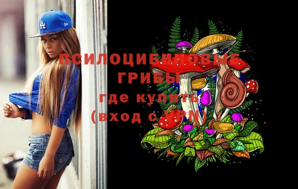 мдпв Горно-Алтайск