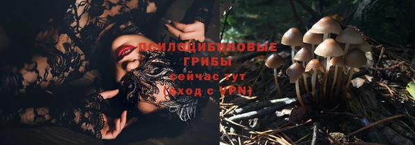 мдпв Горно-Алтайск