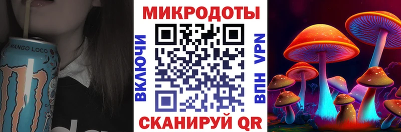 Псилоцибиновые грибы Cubensis  Яхрома 